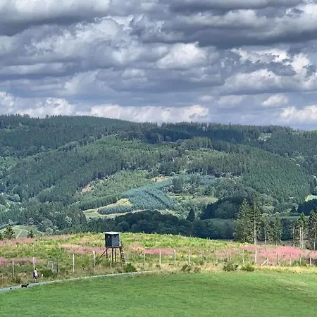 Bergnest Винтерберг