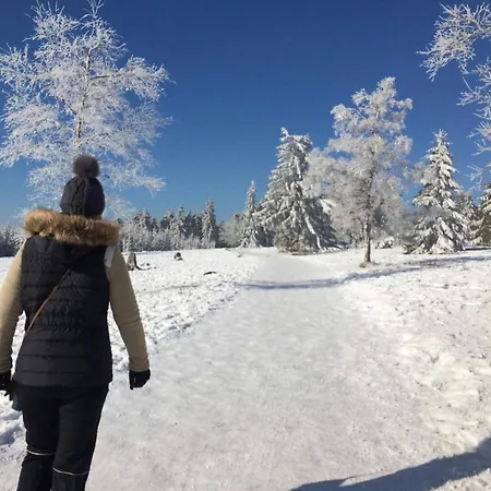 Bergnest Appartement Winterberg