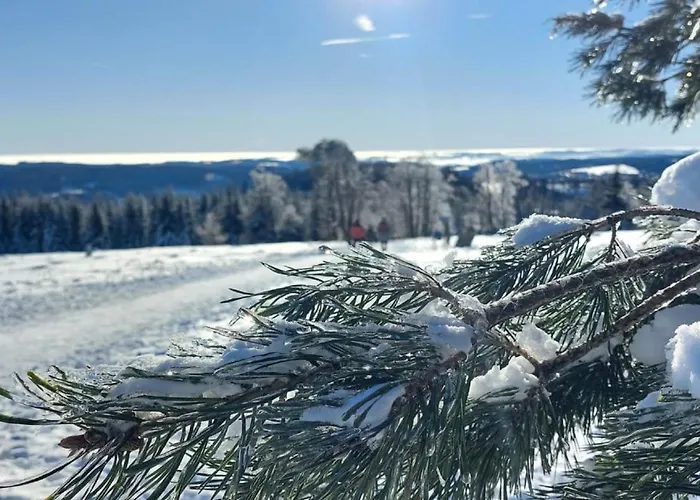 Apartamento Bergnest